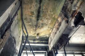 Best Mold Removal for HVAC Installations  in Hampstead, NC